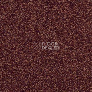 Ковролин AW Timeless 11 фото 1 | FLOORDEALER