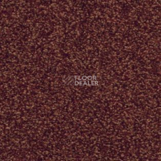 Ковролин AW Timeless 11 фото 1 | FLOORDEALER