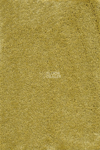 Ковролин AW Masquerade Fedone 54 фото 1 | FLOORDEALER