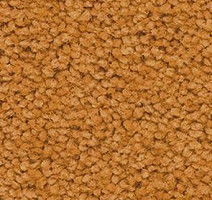 Ковролин Balsan Les First Les First 350 фото 1 | FLOORDEALER