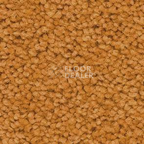 Ковролин Balsan Les First Les First 350 фото 1 | FLOORDEALER