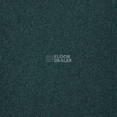 Ковролин Big Splendor 237 фото 1 | FLOORDEALER