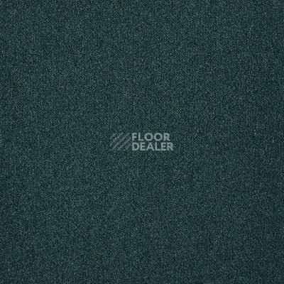 Ковролин Big Splendor 237 фото 1 | FLOORDEALER