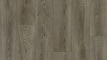 Линолеум Tarkett Club EVORA 2 фото 1 | FLOORDEALER