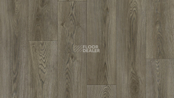 Линолеум Tarkett Club EVORA 2 фото 1 | FLOORDEALER