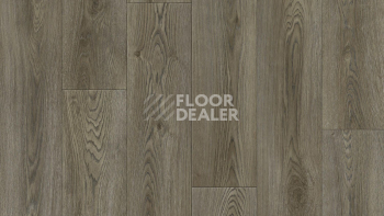 Линолеум Tarkett Club EVORA 2 фото 1 | FLOORDEALER