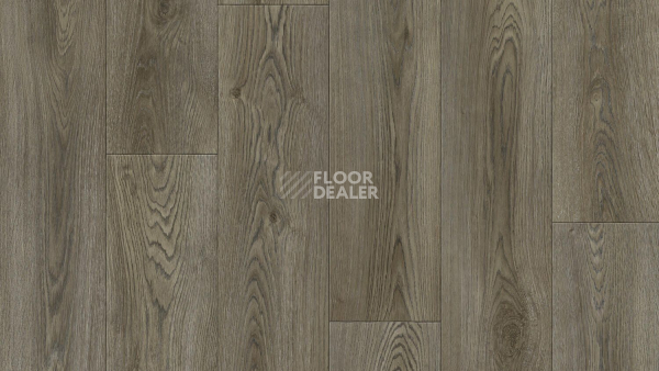 Линолеум Tarkett Club EVORA 2 фото 1 | FLOORDEALER