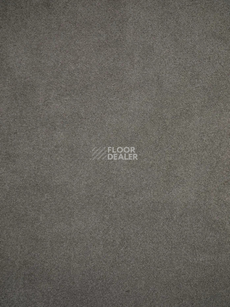 Ковролин Haima Noble 07 фото 1 | FLOORDEALER