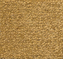 Ковролин Emphatic Beaulieu of America 56250 фото 1 | FLOORDEALER