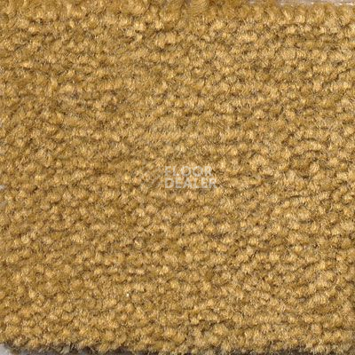 Ковролин Emphatic Beaulieu of America 56250 фото 1 | FLOORDEALER