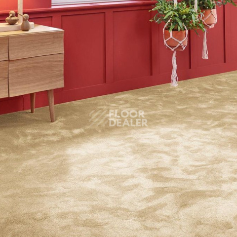 Vorwerk Superior 1067 Mira Vorwerk 8k09 фото 2 | FLOORDEALER