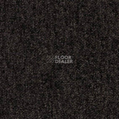 Ковровая плитка Desso Menda Pro 9111 фото 1 | FLOORDEALER