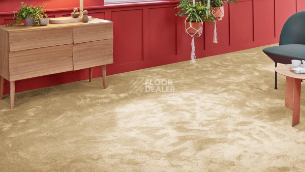 Vorwerk Superior 1067 Mira Vorwerk 8k09 фото 2 | FLOORDEALER