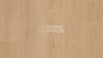 Линолеум Tarkett Craft Olbany 2 фото 1 | FLOORDEALER