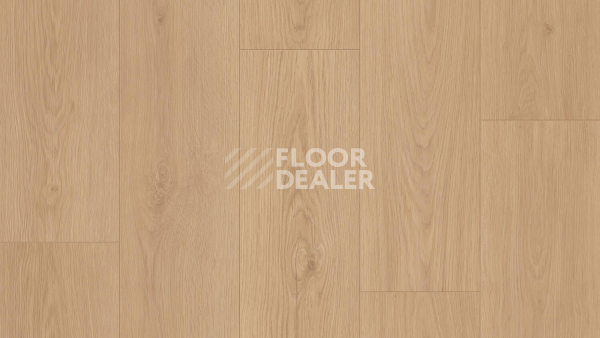 Линолеум Tarkett Craft Olbany 2 фото 1 | FLOORDEALER