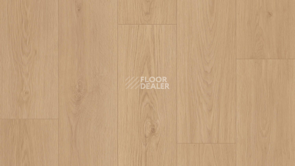 Линолеум Tarkett Craft Olbany 2 фото 1 | FLOORDEALER