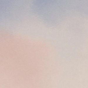 Виниловая плитка ПВХ FORBO allura flex" material 63743FL1 dreamy sky (100x50 cm) фото ##numphoto## | FLOORDEALER