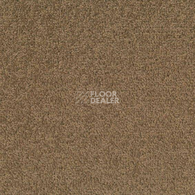 Ковровая плитка Desso Palatino 2929 фото 1 | FLOORDEALER