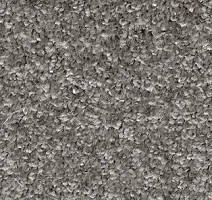 Ковролин AW Gala Equator 95 фото 1 | FLOORDEALER