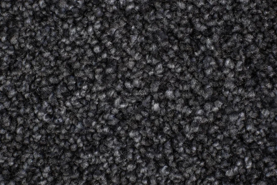 AW Masquerade Costanza 99 фото 2 | FLOORDEALER