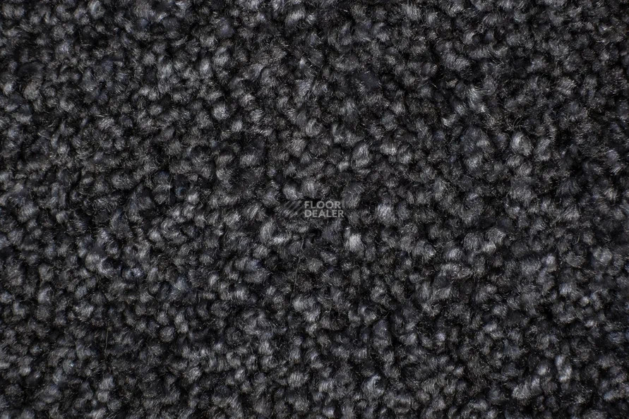 AW Masquerade Costanza 99 фото 2 | FLOORDEALER