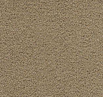 Ковролин AW Pearl 34 фото 1 | FLOORDEALER