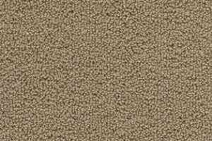 Ковролин AW Pearl 34 фото  | FLOORDEALER