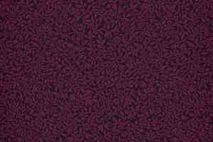 Ковролин Halbmond Classic Selection 42424 a 10 фото  | FLOORDEALER