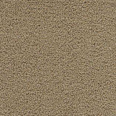 Ковролин AW Pearl 34 фото 1 | FLOORDEALER