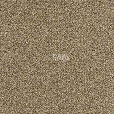 Ковролин AW Pearl 34 фото 1 | FLOORDEALER