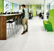 Forbo Sphera Energetic 51200 vivid snow фото 3 | FLOORDEALER