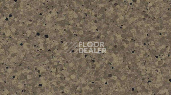 Кварцвиниловые полы  0326_Jojoba фото 1 | FLOORDEALER