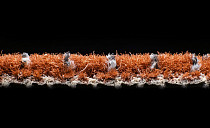 AW Magma 84 фото 4 | FLOORDEALER