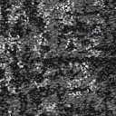 Ковролин Balsan Darius Soft 909  | FLOORDEALER