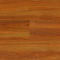 Линолеум Polyflor Expona Wood 6110 фото 1 | FLOORDEALER