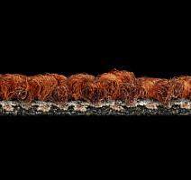 Desso Desert 5011 фото 4 | FLOORDEALER