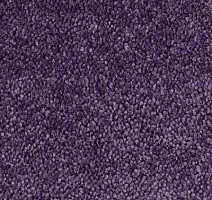 Ковролин Vorwerk Lyrica 3h30 фото 1 | FLOORDEALER