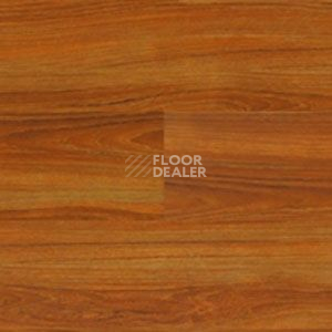 Линолеум Polyflor Expona Wood 6110 фото 1 | FLOORDEALER