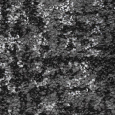 Ковролин Balsan Darius Soft 909 фото 1 | FLOORDEALER