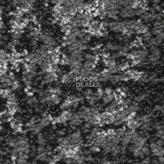 Ковролин Balsan Darius Soft 909 фото 1 | FLOORDEALER