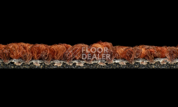 Desso Desert 5011 фото 4 | FLOORDEALER
