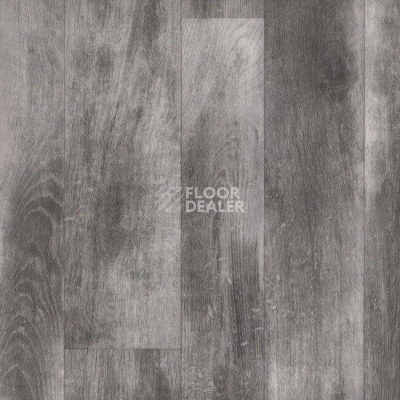 Линолеум Diamond Standart Evolution 4235-488-5 фото 1 | FLOORDEALER