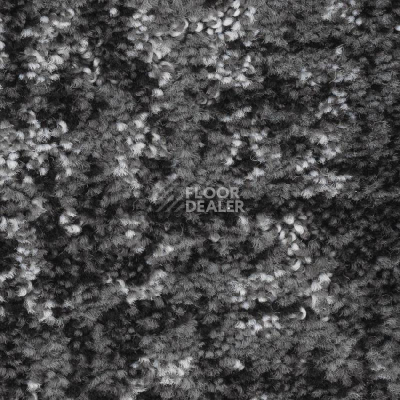 Ковролин Balsan Darius Soft 909 фото 1 | FLOORDEALER