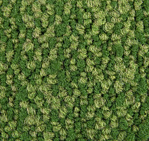 Haima Coral 30 фото 3 | FLOORDEALER