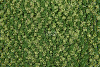 Haima Coral 30 фото 3 | FLOORDEALER