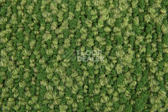 Haima Coral 30 фото 3 | FLOORDEALER