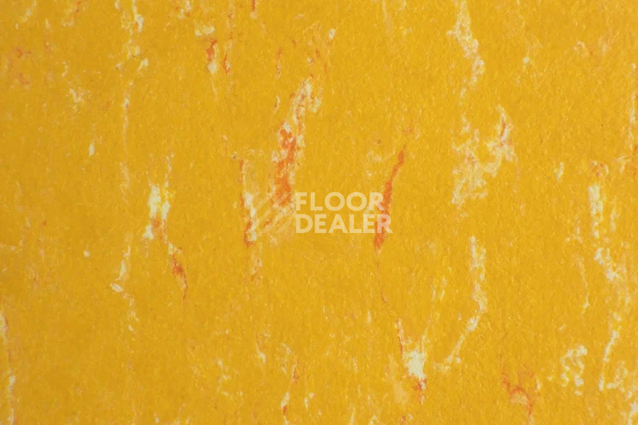 Линолеум Marmoleum Solid Piano 3622-362235 mellow yellow фото 1 | FLOORDEALER