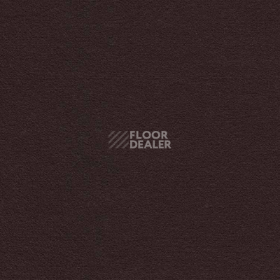 Ковролин Finett Feinwerk 403510 фото 1 | FLOORDEALER