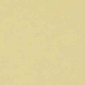 Виниловая плитка ПВХ Marmoleum Modular Colour 3566 фото ##numphoto## | FLOORDEALER