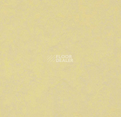 Кварцвиниловые полы Marmoleum Modular Colour 3566 фото 1 | FLOORDEALER